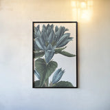 Botanique II no Words by Wild Apple Portfolio. shown as a paper print in a black flame. Available as a archival giclee rolled canvas, fine art paper, or poster print. SKU 25342h.