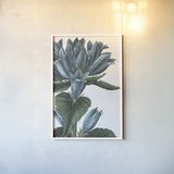 Botanique II no Words by Wild Apple Portfolio. shown as a paper print in a white frame. Available as a archival giclee rolled canvas, fine art paper, or poster print. SKU 25342h.