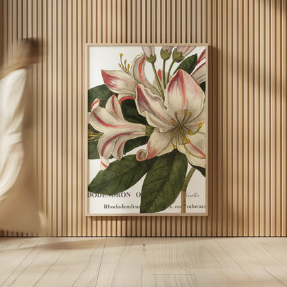 Botanique III by Wild Apple Portfolio. shown as over sized large wall art. Available as an archival giclee rolled canvas, fine art paper, or poster print. SKU 1882h.