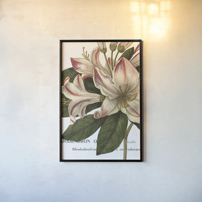 Botanique III by Wild Apple Portfolio. shown as a paper print in a black flame. Available as a archival giclee rolled canvas, fine art paper, or poster print. SKU 1882h.