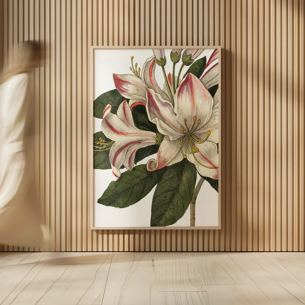 Botanique III no Words by Wild Apple Portfolio. shown as over sized large wall art. Available as an archival giclee rolled canvas, fine art paper, or poster print. SKU 25343h.