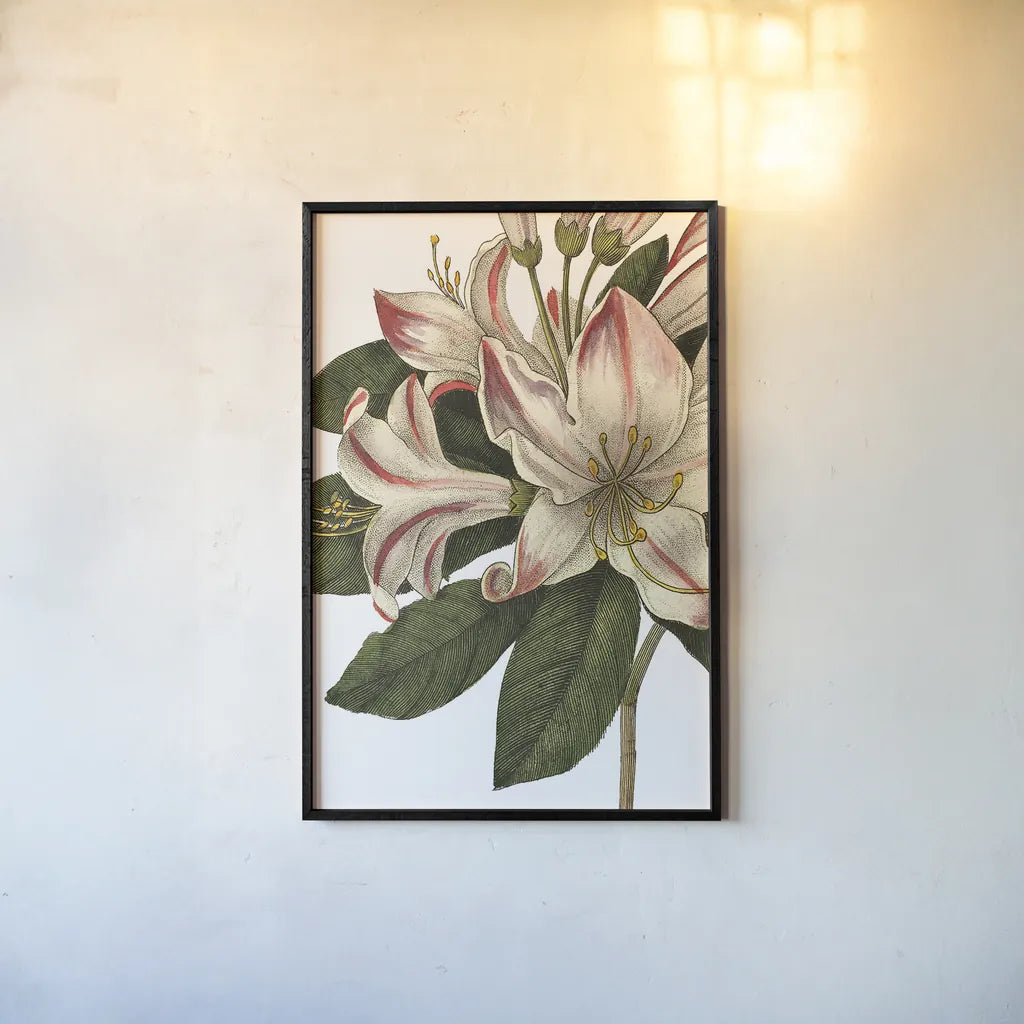 Botanique III no Words by Wild Apple Portfolio. shown as a paper print in a black flame. Available as a archival giclee rolled canvas, fine art paper, or poster print. SKU 25343h.