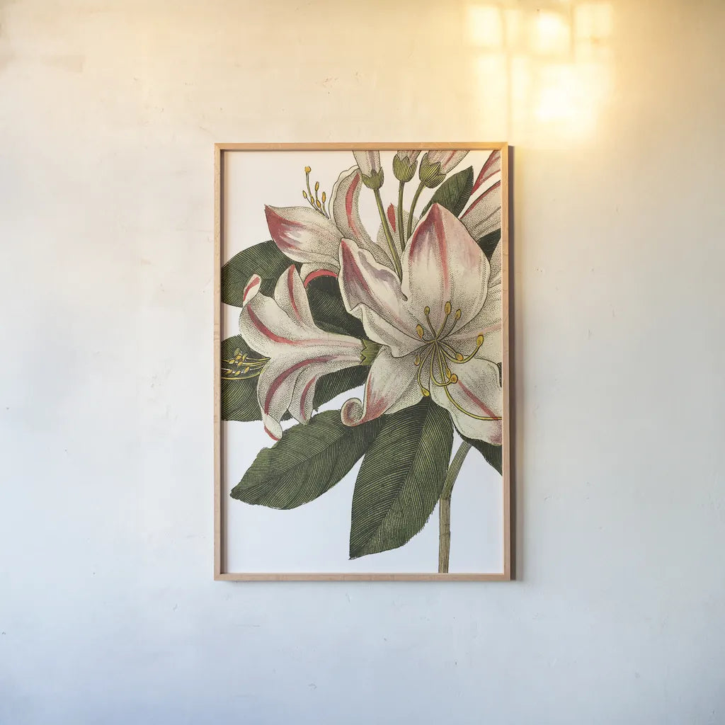 Botanique III no Words by Wild Apple Portfolio. shown as a paper print in a natural frame. Available as a archival giclee rolled canvas, fine art paper, or poster print. SKU 25343h.