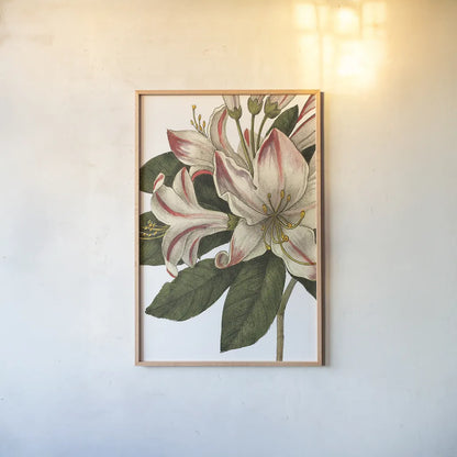 Botanique III no Words by Wild Apple Portfolio. shown as a paper print in a natural frame. Available as a archival giclee rolled canvas, fine art paper, or poster print. SKU 25343h.