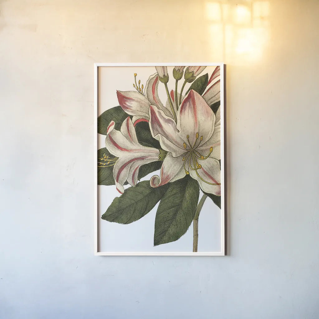 Botanique III no Words by Wild Apple Portfolio. shown as a paper print in a white frame. Available as a archival giclee rolled canvas, fine art paper, or poster print. SKU 25343h.