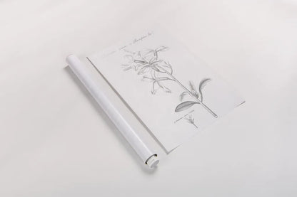 Botany Book IX by Wild Apple Portfolio. shown as a rolled paper print. Available as archival giclee rolled canvas, fine art paper, or poster print. SKU 38334h.