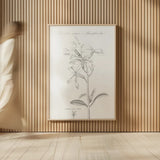 Botany Book IX by Wild Apple Portfolio. shown as over sized large wall art. Available as an archival giclee rolled canvas, fine art paper, or poster print. SKU 38334h.