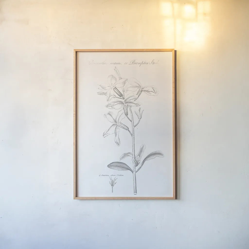 Botany Book IX by Wild Apple Portfolio. shown as a paper print in a natural frame. Available as a archival giclee rolled canvas, fine art paper, or poster print. SKU 38334h.