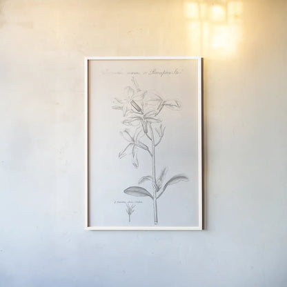 Botany Book IX by Wild Apple Portfolio. shown as a paper print in a white frame. Available as a archival giclee rolled canvas, fine art paper, or poster print. SKU 38334h.