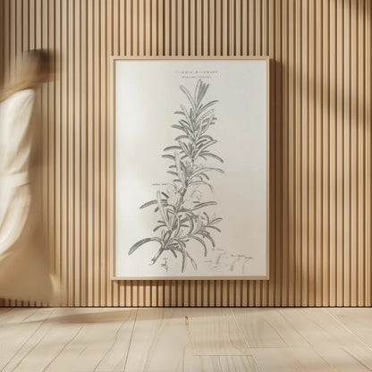 Botany Book VI by Wild Apple Portfolio. shown as over sized large wall art. Available as an archival giclee rolled canvas, fine art paper, or poster print. SKU 38331h.