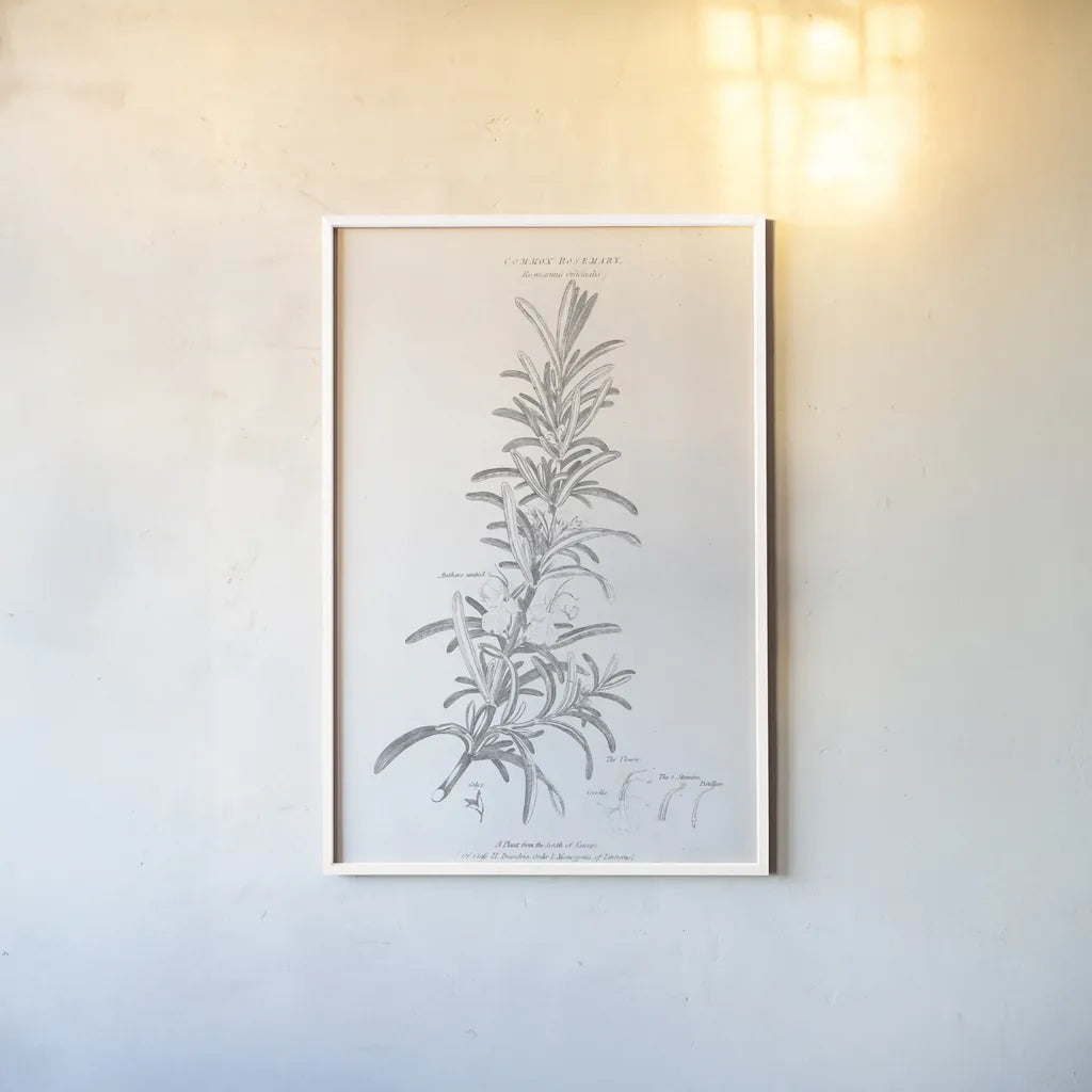 Botany Book VI by Wild Apple Portfolio. shown as a paper print in a white frame. Available as a archival giclee rolled canvas, fine art paper, or poster print. SKU 38331h.