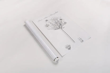 Botany Book VII by Wild Apple Portfolio. shown as a rolled paper print. Available as archival giclee rolled canvas, fine art paper, or poster print. SKU 38332h.