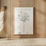 Botany Book VII by Wild Apple Portfolio. shown as over sized large wall art. Available as an archival giclee rolled canvas, fine art paper, or poster print. SKU 38332h.