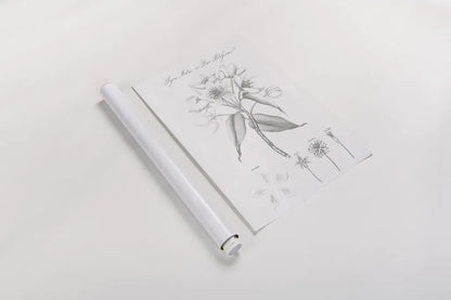 Botany Book VIII by Wild Apple Portfolio. shown as a rolled paper print. Available as archival giclee rolled canvas, fine art paper, or poster print. SKU 38333h.