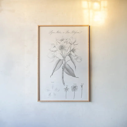 Botany Book VIII by Wild Apple Portfolio. shown as a paper print in a natural frame. Available as a archival giclee rolled canvas, fine art paper, or poster print. SKU 38333h.