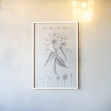 Botany Book VIII by Wild Apple Portfolio. shown as a paper print in a white frame. Available as a archival giclee rolled canvas, fine art paper, or poster print. SKU 38333h.