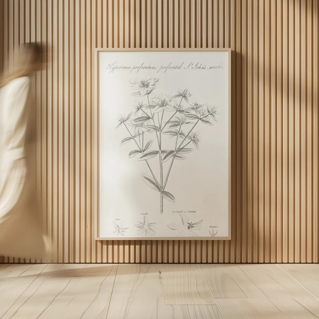 Botany Book X by Wild Apple Portfolio. shown as over sized large wall art. Available as an archival giclee rolled canvas, fine art paper, or poster print. SKU 38335h.