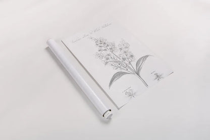 Botany Book XI by Wild Apple Portfolio. shown as a rolled paper print. Available as archival giclee rolled canvas, fine art paper, or poster print. SKU 38336h.