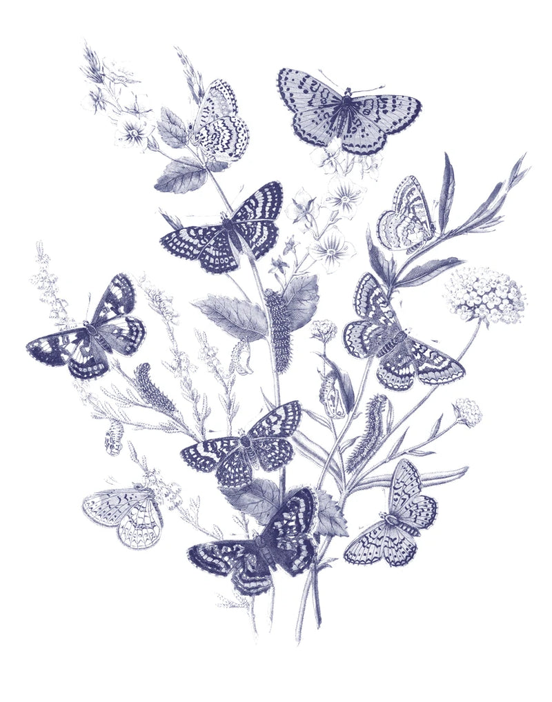 Butterfly Bouquet I Blue by Wild Apple Portfolio