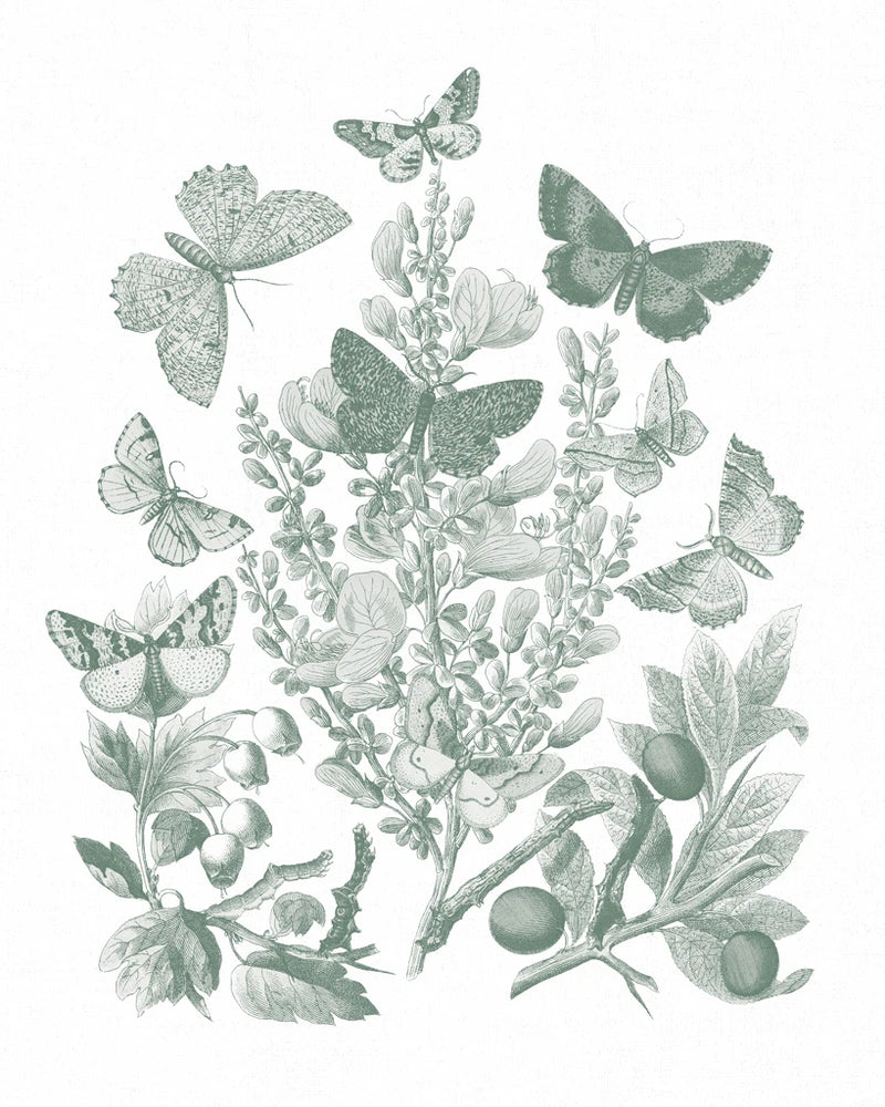Butterfly Bouquet II Sage by Wild Apple Portfolio