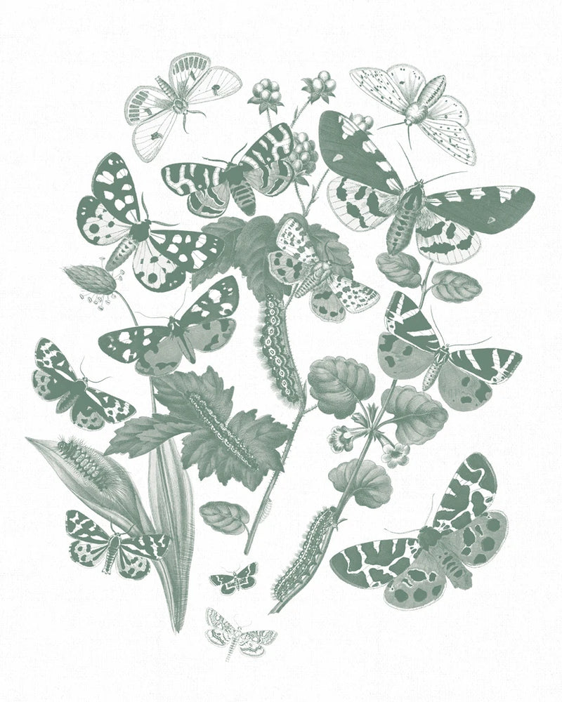Butterfly Bouquet IV Sage by Wild Apple Portfolio
