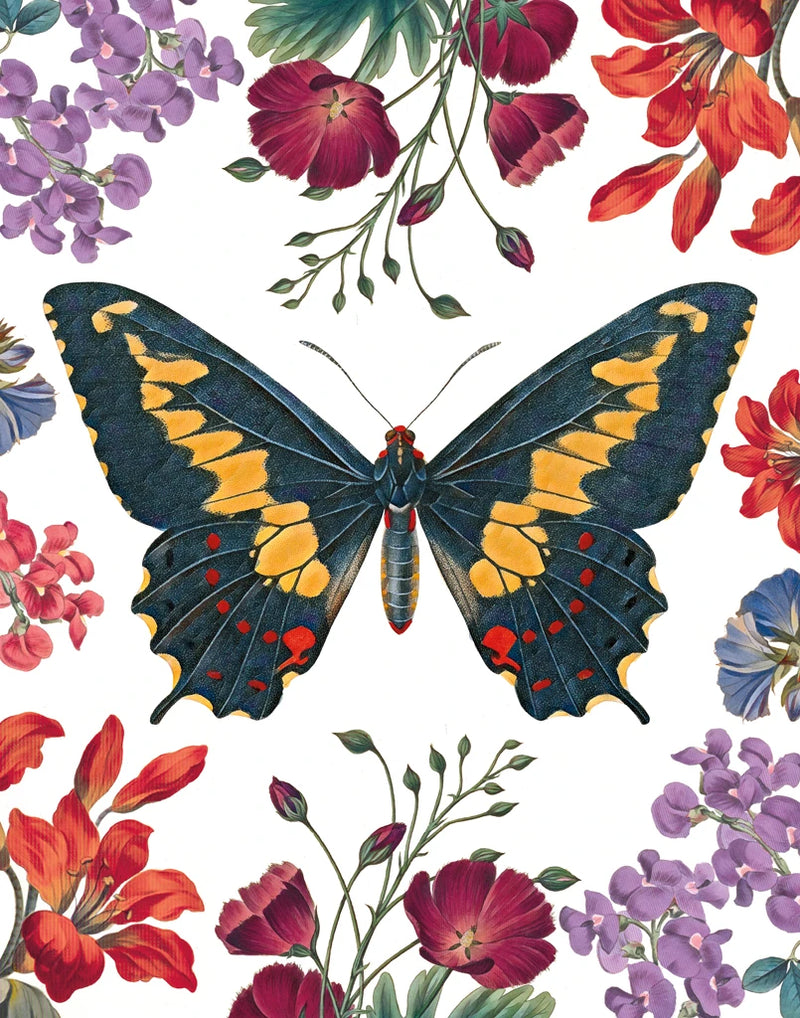 Butterfly Garden III by Wild Apple Portfolio