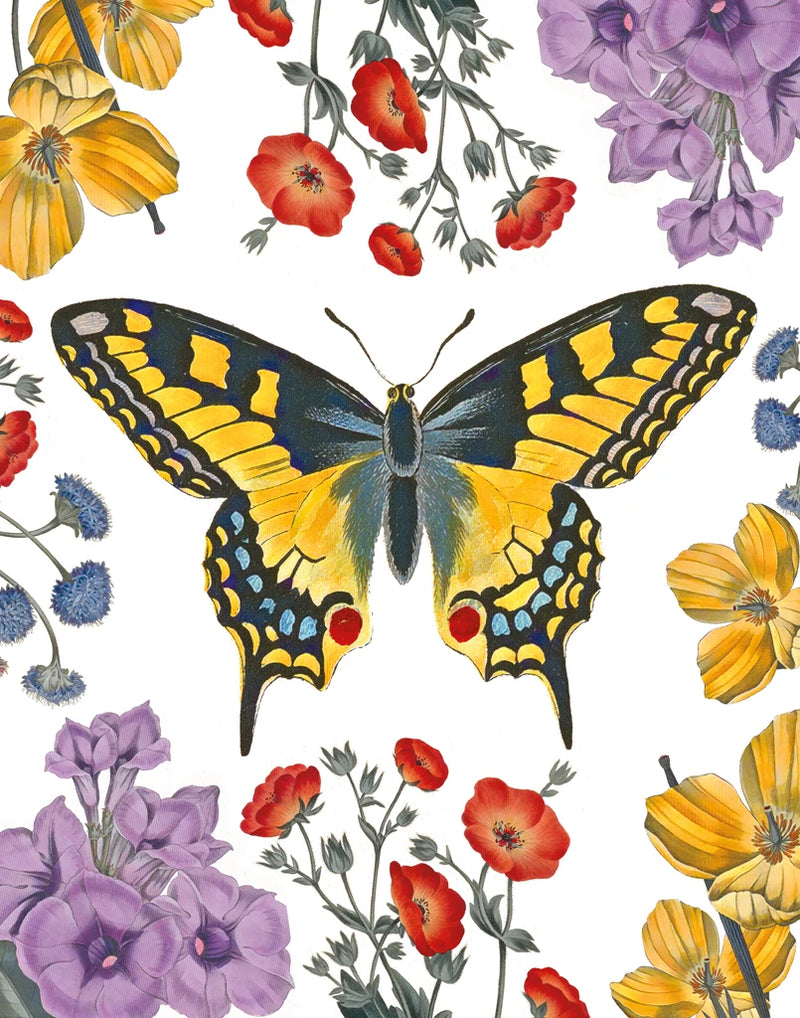 Butterfly Garden IV by Wild Apple Portfolio