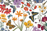 Butterfly Garden VI by Wild Apple Portfolio. SKU 81464i. Archival Giclee Fine art print for wall decor.