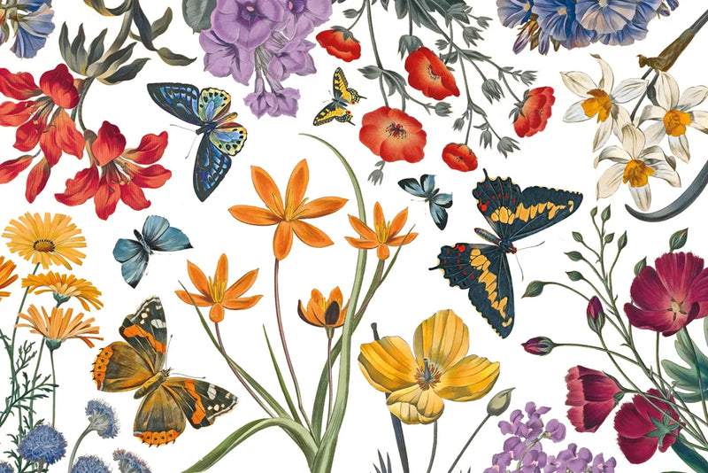 Butterfly Garden VI by Wild Apple Portfolio. SKU 81464i. Archival Giclee Fine art print for wall decor.