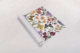 Butterfly Garden VI by Wild Apple Portfolio. shown as a rolled paper print. Available as archival giclee rolled canvas, fine art paper, or poster print. SKU 81464i.