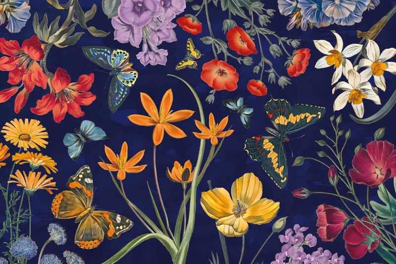 Butterfly Garden VI Dark by Wild Apple Portfolio. SKU 81468i. Archival Giclee Fine art print for wall decor.