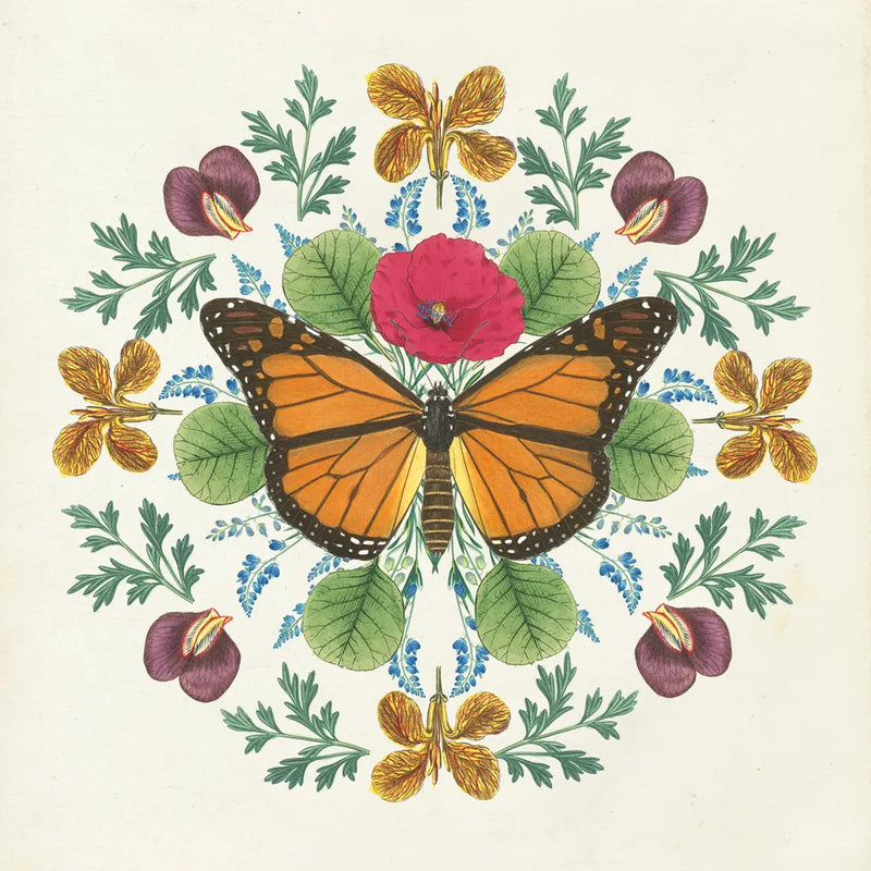 Butterfly Mandala I by Wild Apple Portfolio. SKU 34402a. Archival Giclee Fine art print for wall decor.
