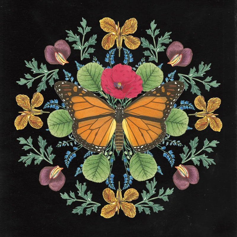 Butterfly Mandala I Black by Wild Apple Portfolio. SKU 51118a. Archival Giclee Fine art print for wall decor.