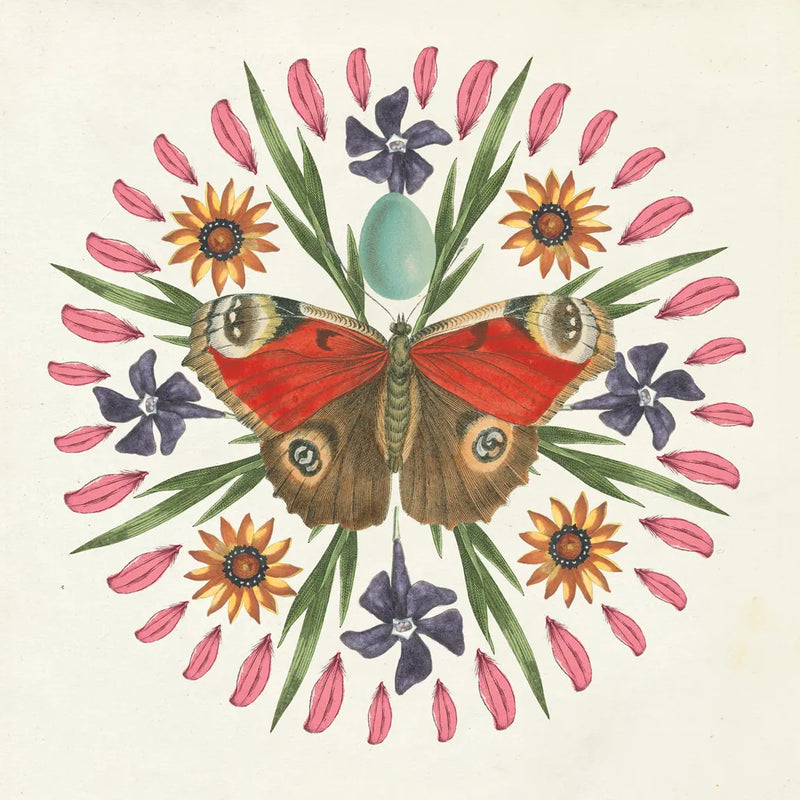 Butterfly Mandala II by Wild Apple Portfolio. SKU 34403a. Archival Giclee Fine art print for wall decor.