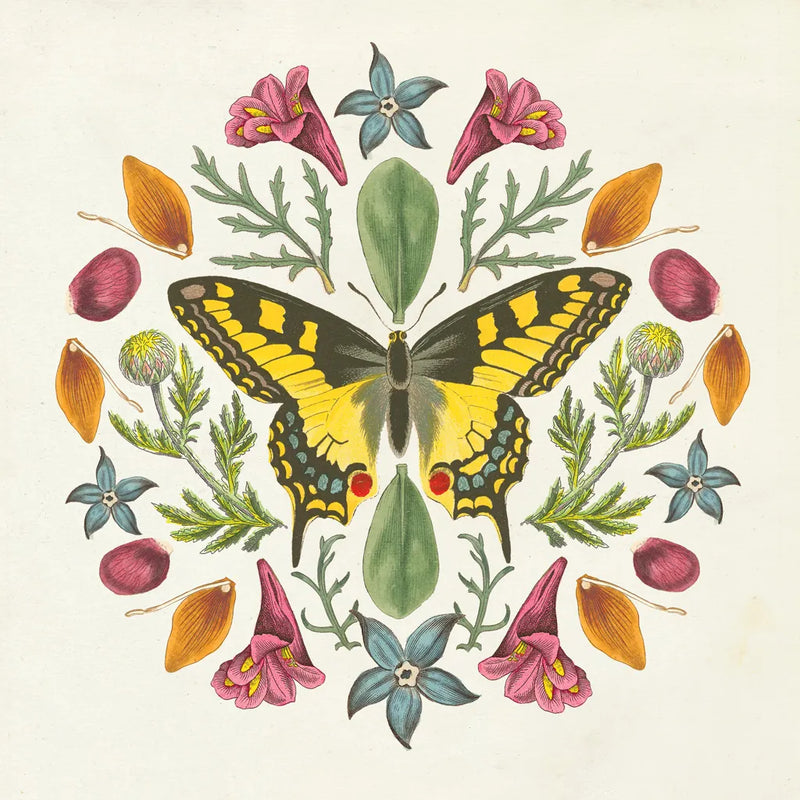 Butterfly Mandala III by Wild Apple Portfolio. SKU 34404a. Archival Giclee Fine art print for wall decor.