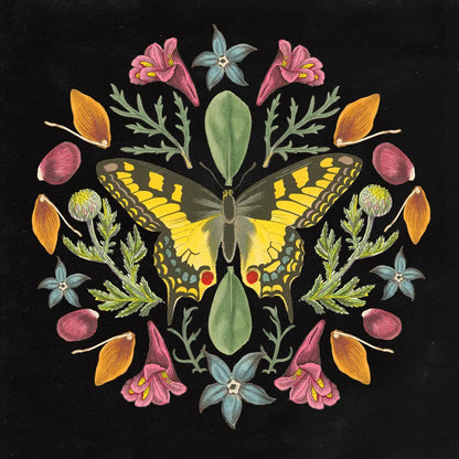 Butterfly Mandala III Black by Wild Apple Portfolio. SKU 51121a. Archival Giclee Fine art print for wall decor.