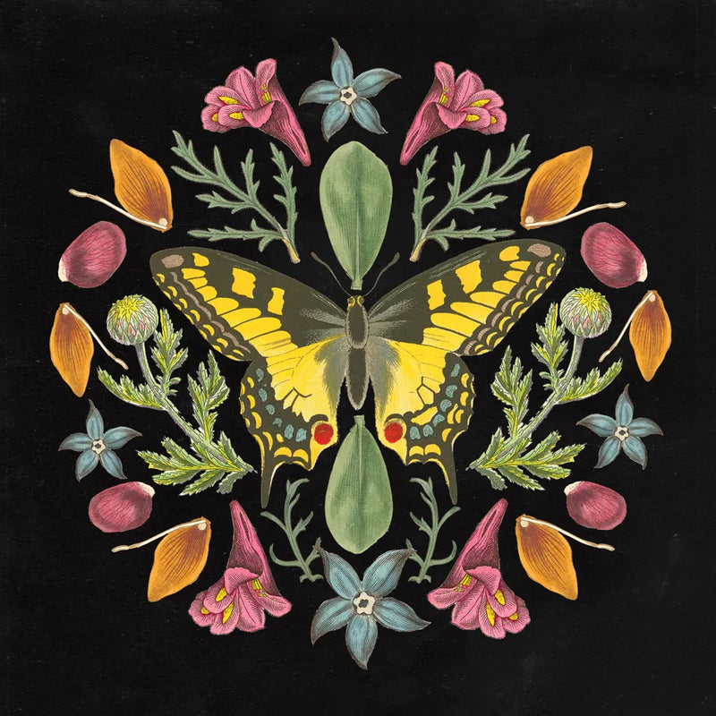 Butterfly Mandala III Black by Wild Apple Portfolio. SKU 51121a. Archival Giclee Fine art print for wall decor.