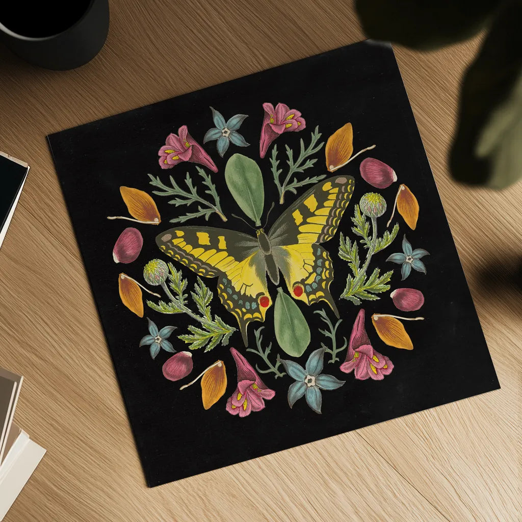 Butterfly Mandala III Black by Wild Apple Portfolio. Shown as a detailed flat fine art print, highlighting archival giclee quality. Available as an archival giclee rolled canvas, fine art paper, or poster print. SKU 51121a.