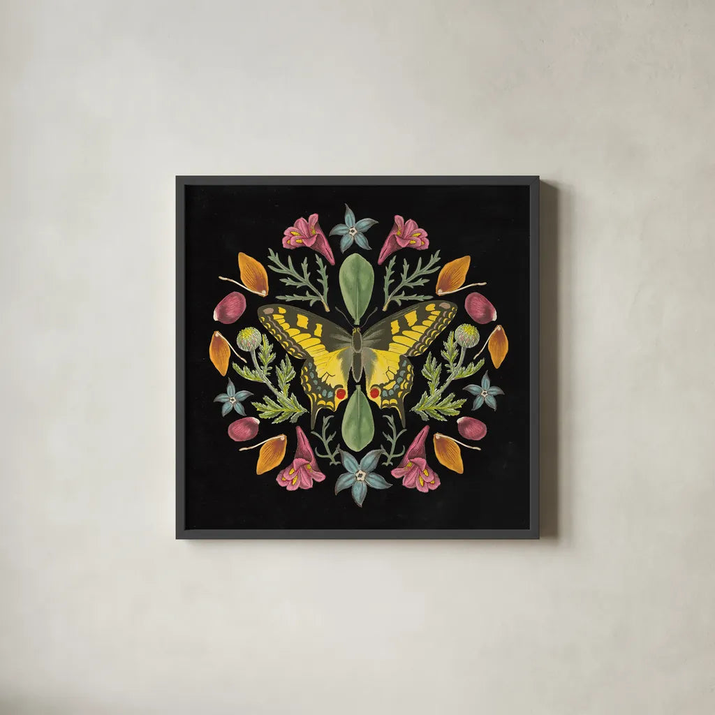 Butterfly Mandala III Black by Wild Apple Portfolio. Shown in a sleek black glass frame for a contemporary gallery look. Available as an archival giclee rolled canvas, fine art paper, or poster print. SKU 51121a.