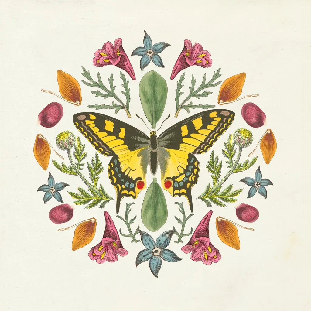 Butterfly Mandala III v2 by Wild Apple Portfolio. SKU 35995a. Archival Giclee Fine art print for wall decor.