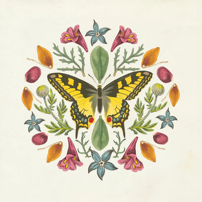 Butterfly Mandala III v2 by Wild Apple Portfolio. SKU 35995a. Archival Giclee Fine art print for wall decor.