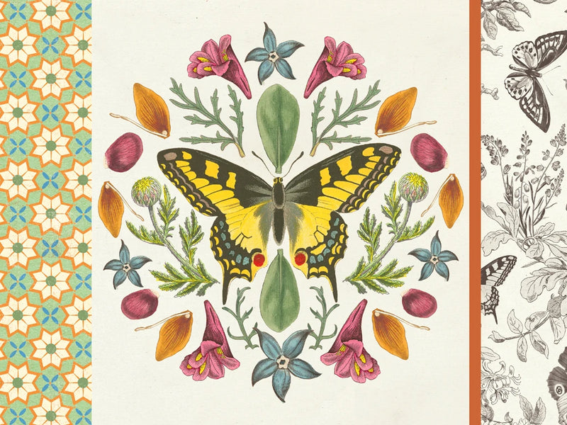 Butterfly Mandala III with Borders by Wild Apple Portfolio