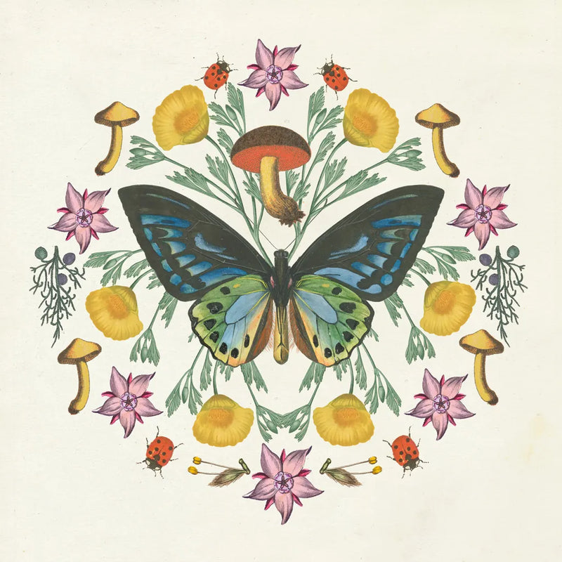 Butterfly Mandala IV by Wild Apple Portfolio. SKU 34405a. Archival Giclee Fine art print for wall decor.