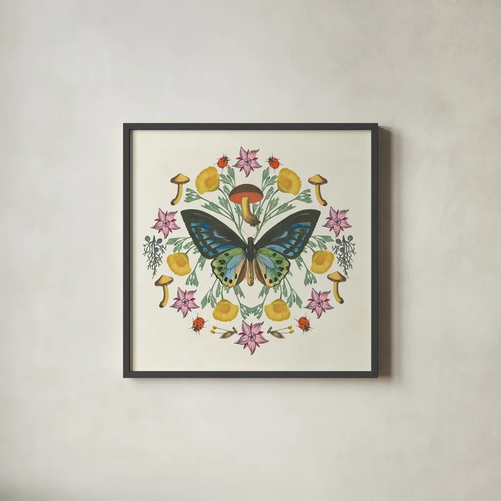Butterfly Mandala IV by Wild Apple Portfolio. Shown in a sleek black glass frame for a contemporary gallery look. Available as an archival giclee rolled canvas, fine art paper, or poster print. SKU 34405a.