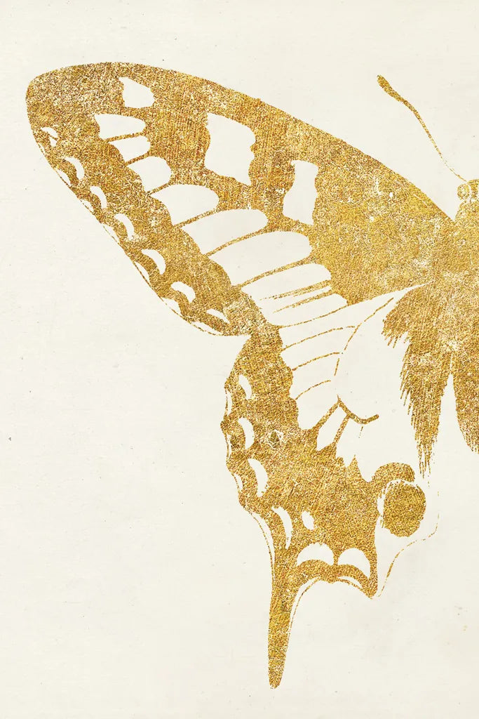 Butterfly Wings I by Wild Apple Portfolio. SKU 74514h. Archival Giclee Fine art print for wall decor.