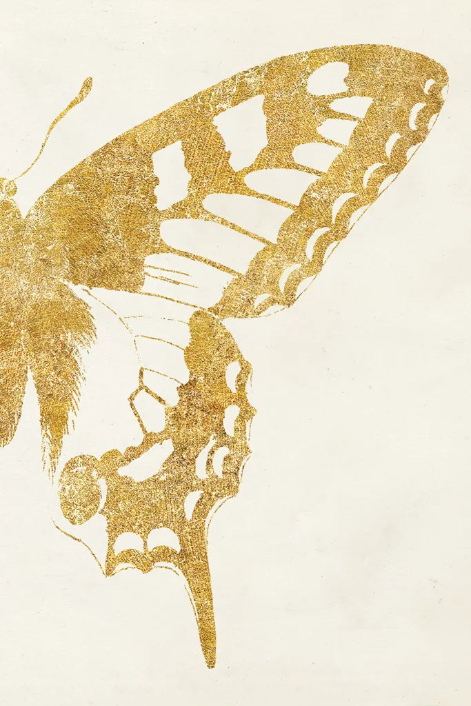 Butterfly Wings II by Wild Apple Portfolio. SKU 74515h. Archival Giclee Fine art print for wall decor.