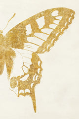 Butterfly Wings II by Wild Apple Portfolio. SKU 74515h. Archival Giclee Fine art print for wall decor.