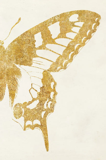 Butterfly Wings II by Wild Apple Portfolio. SKU 74515h. Archival Giclee Fine art print for wall decor.