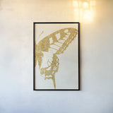 Butterfly Wings II by Wild Apple Portfolio. shown as a paper print in a black flame. Available as a archival giclee rolled canvas, fine art paper, or poster print. SKU 74515h.