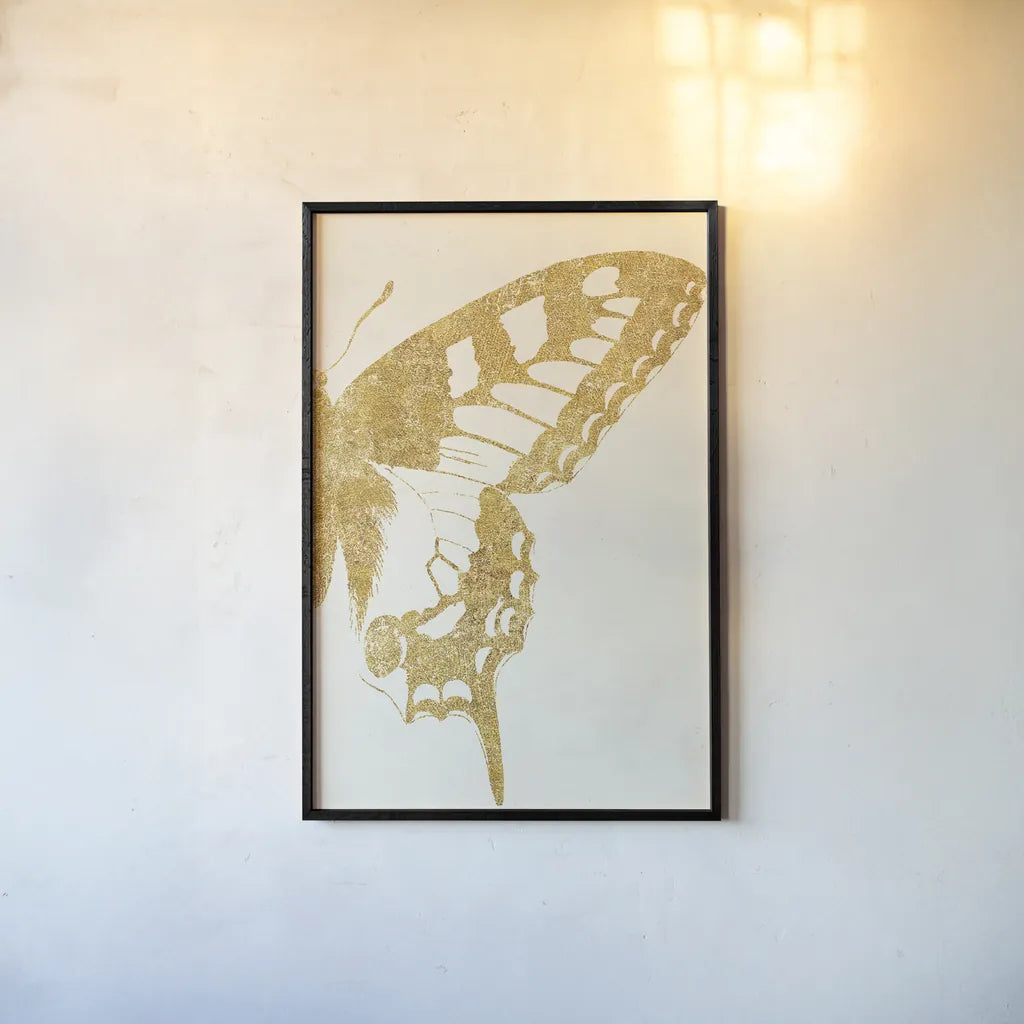Butterfly Wings II by Wild Apple Portfolio. shown as a paper print in a black flame. Available as a archival giclee rolled canvas, fine art paper, or poster print. SKU 74515h.